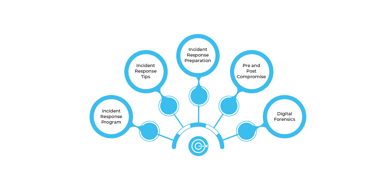 Cyber Response