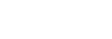 FYNSEC