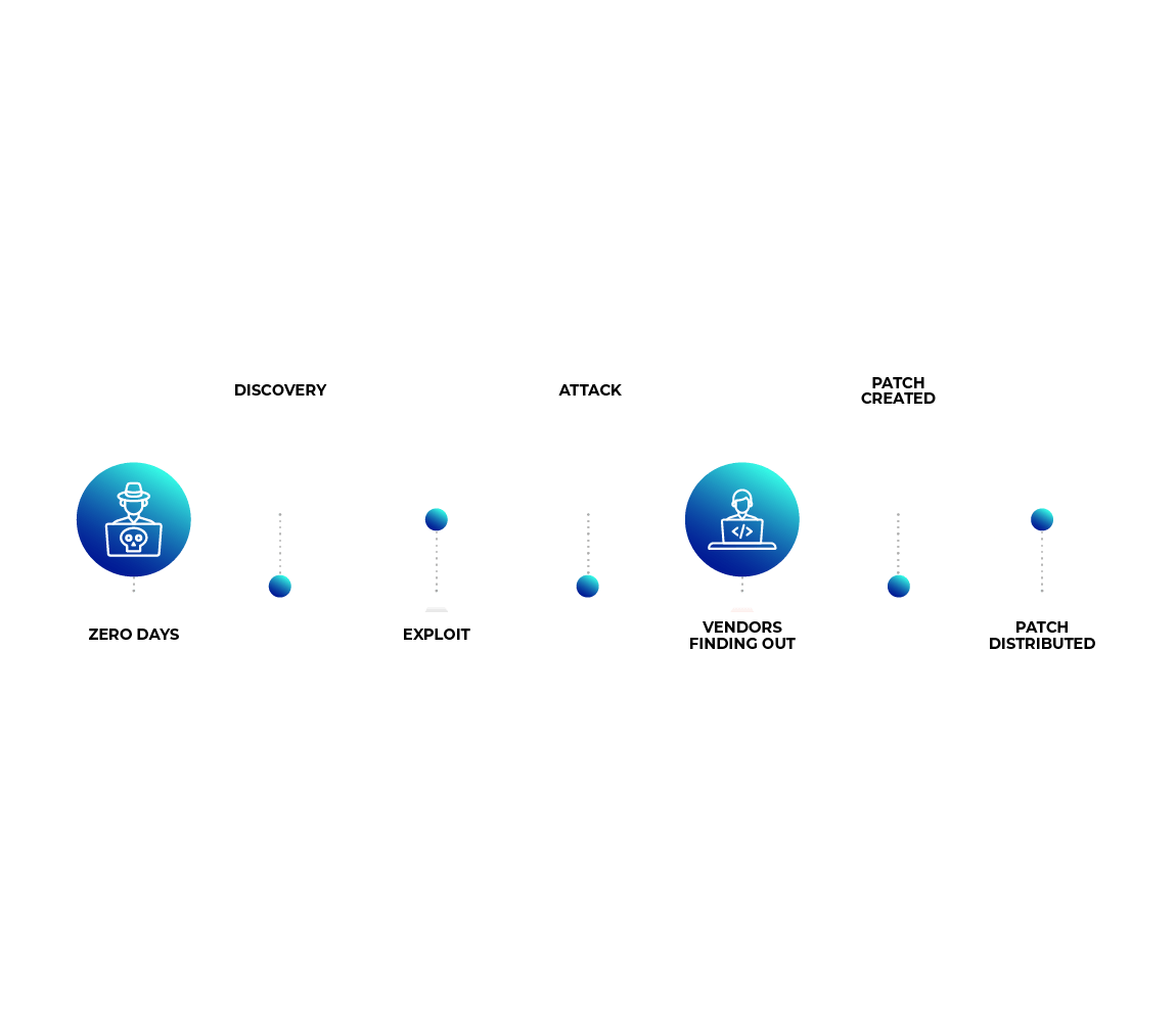 Life of a Zero Day Vulnerability